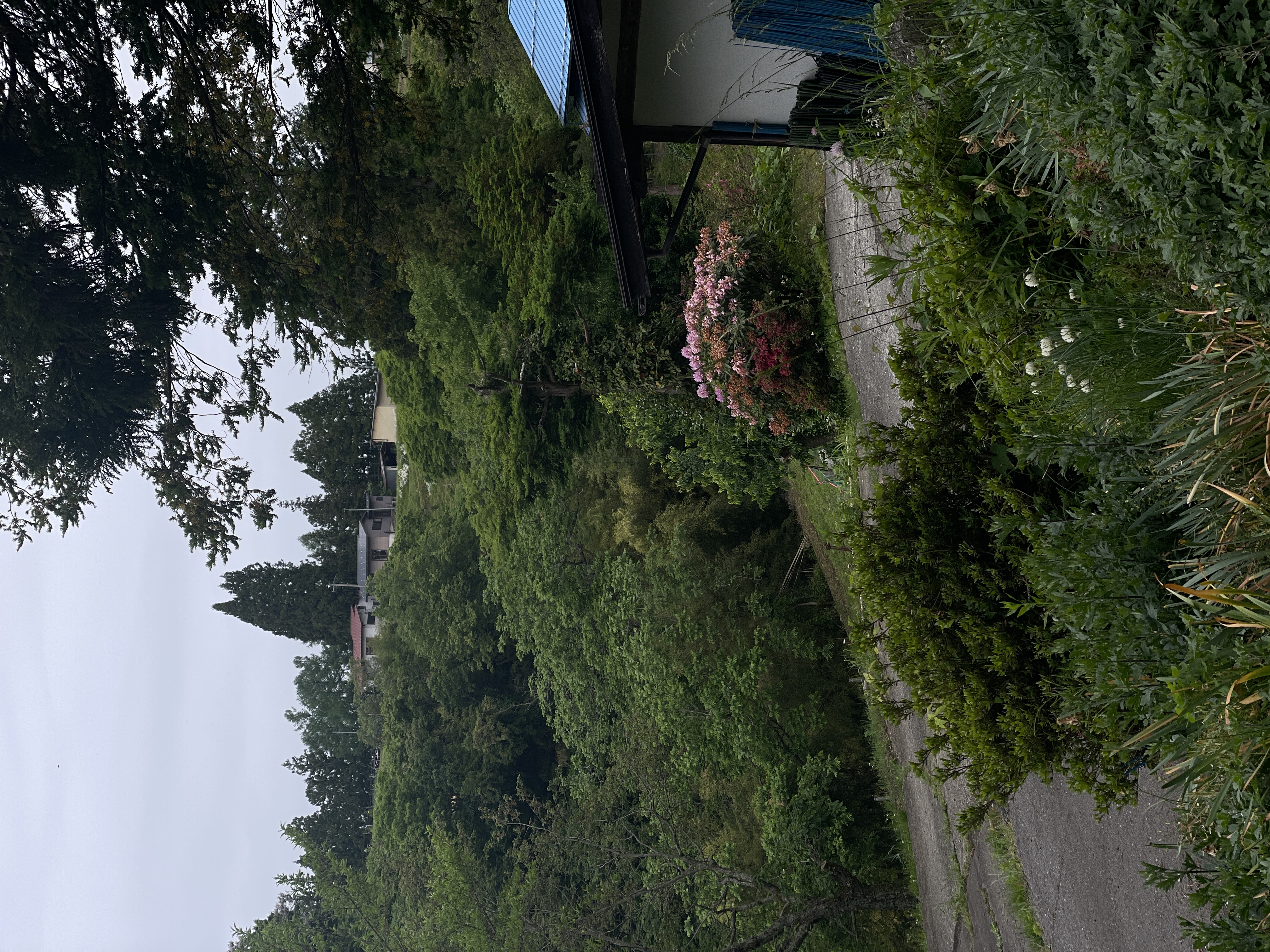 2026.5.23 撮影の写真