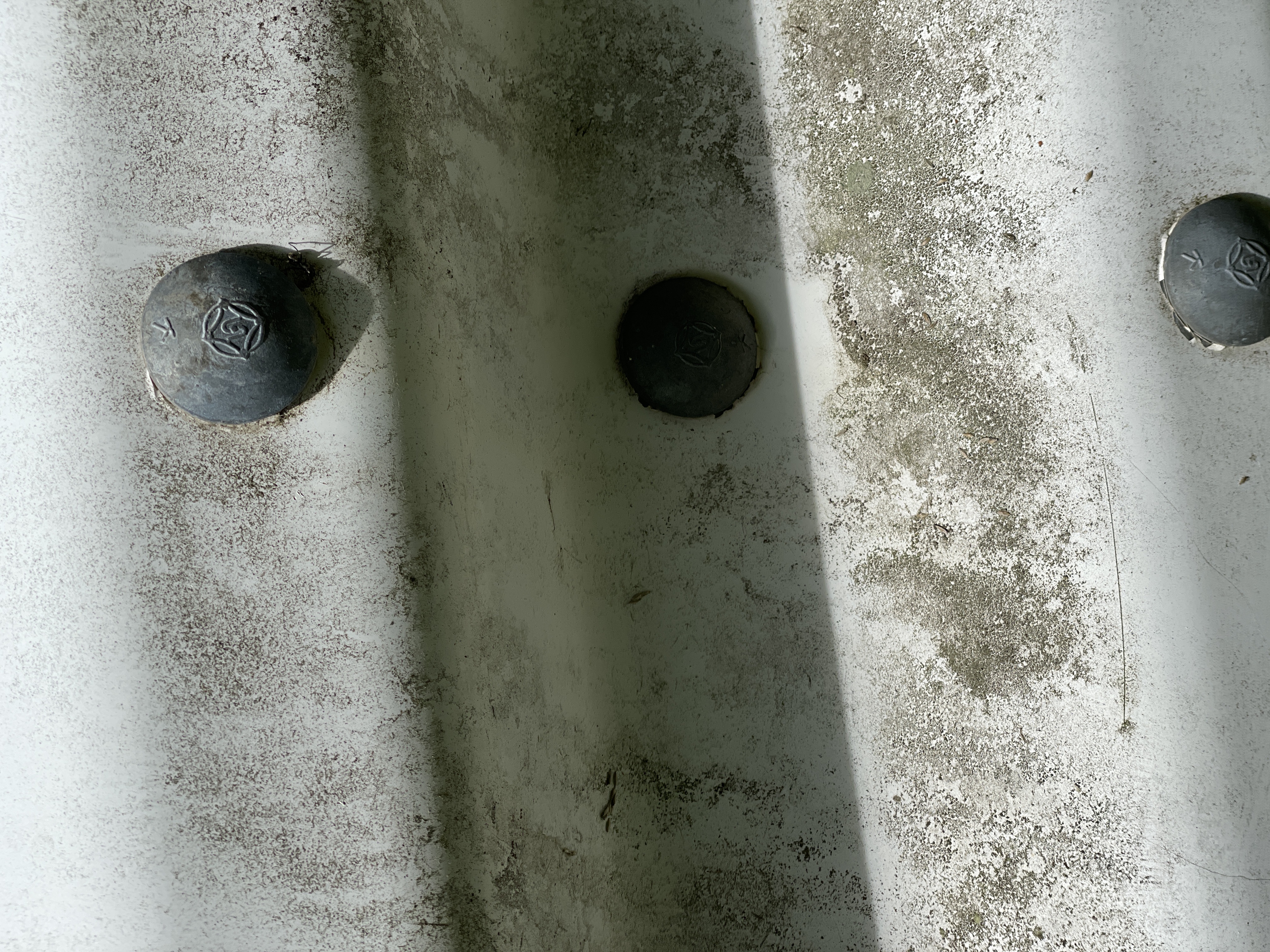 2026.5.19 撮影の写真