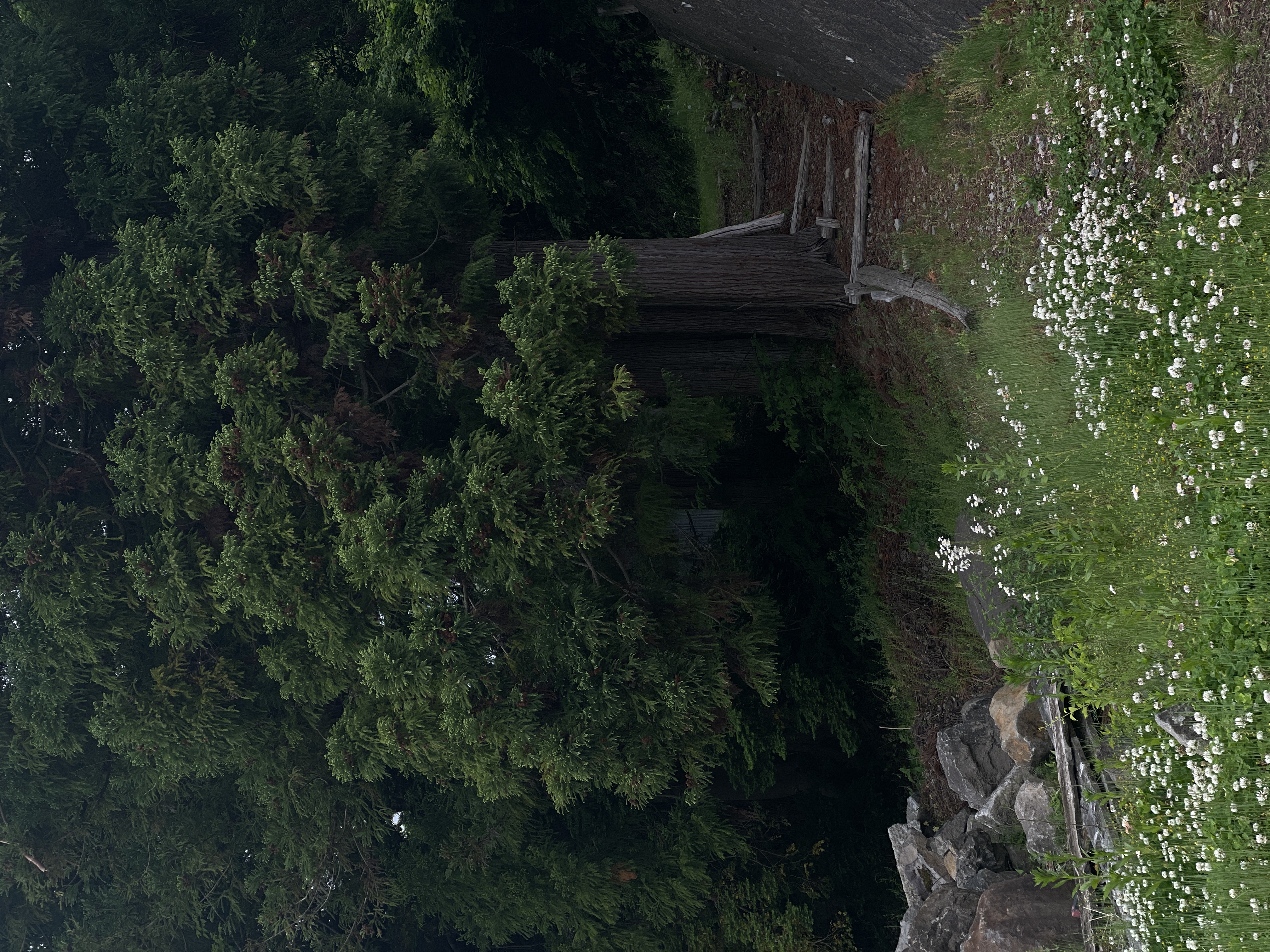 2026.5.23 撮影の写真