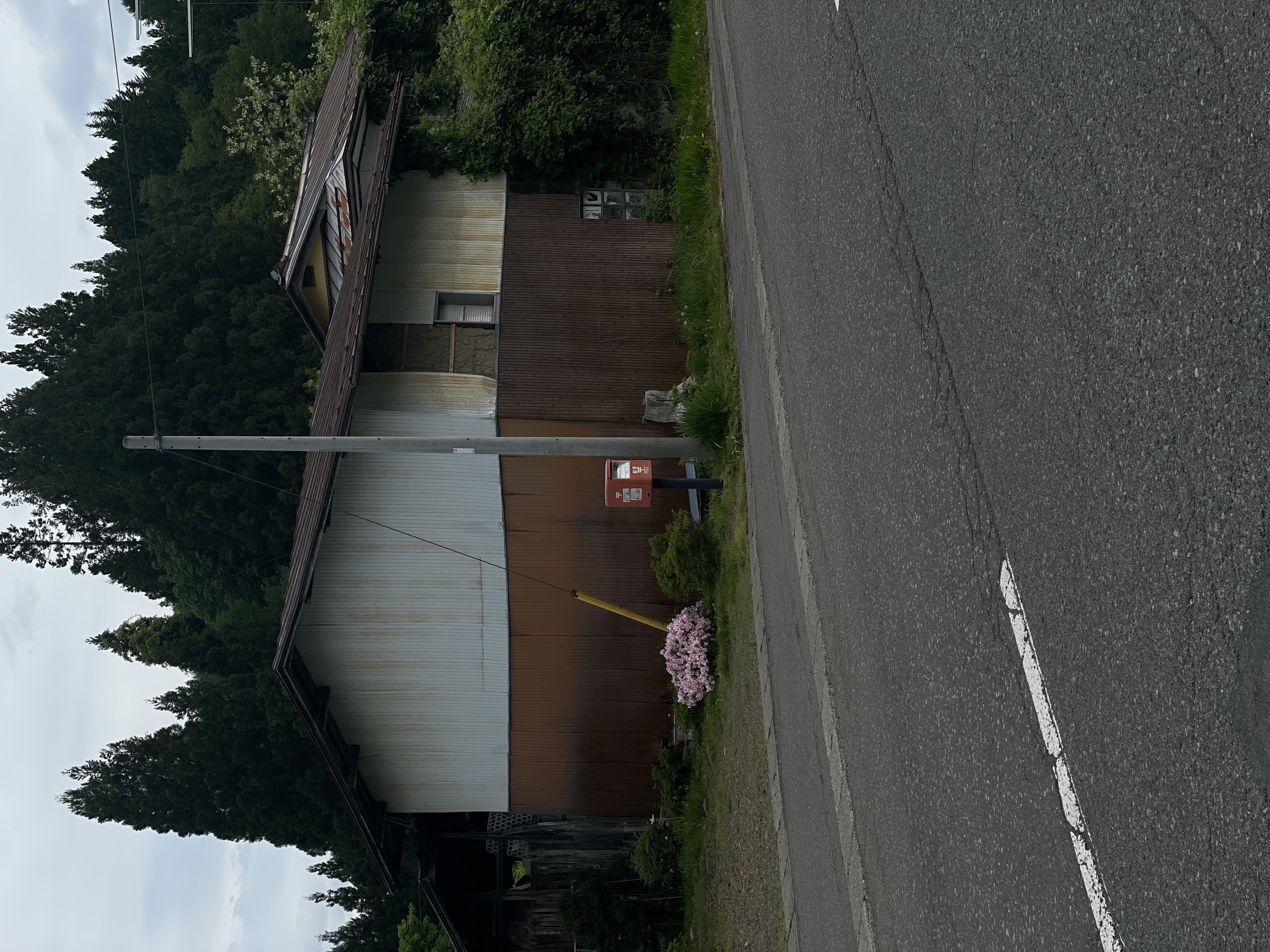 2026.5.24 撮影の写真
