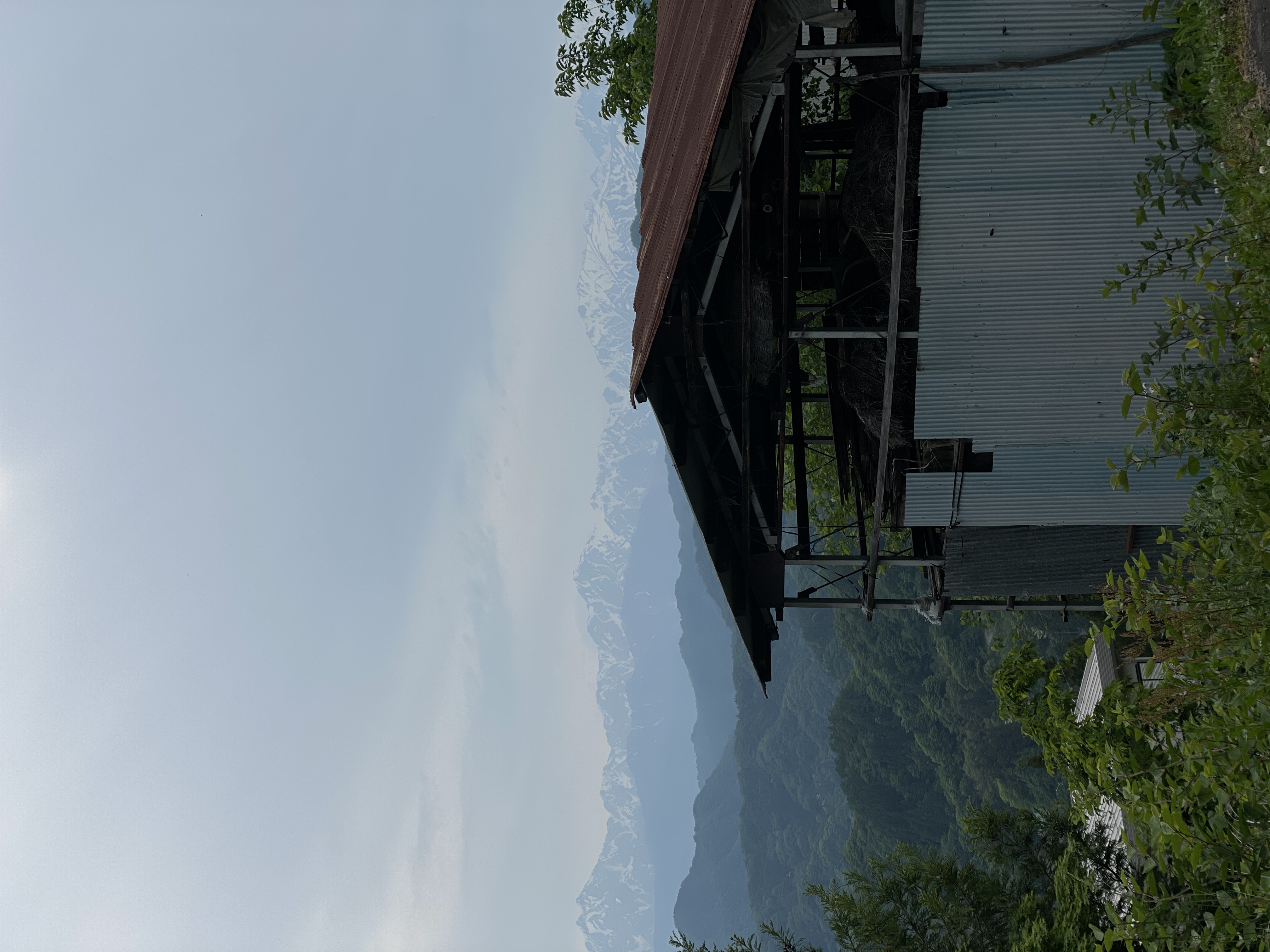2026.5.20 撮影の写真